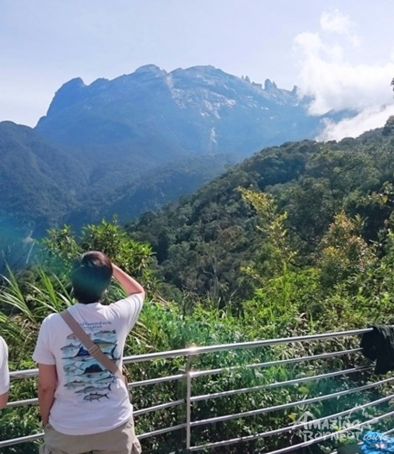 2D1N KINABALU PARK & PORING HOT SPRING TOUR